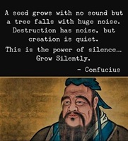 A seed grows with no sound but tree falls with huge noise
